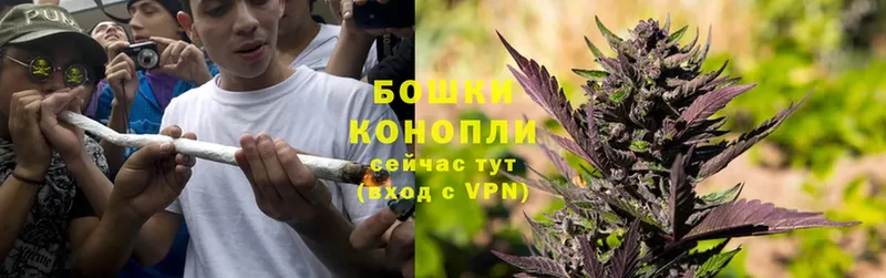 Конопля THC 21%  Новоалександровск 